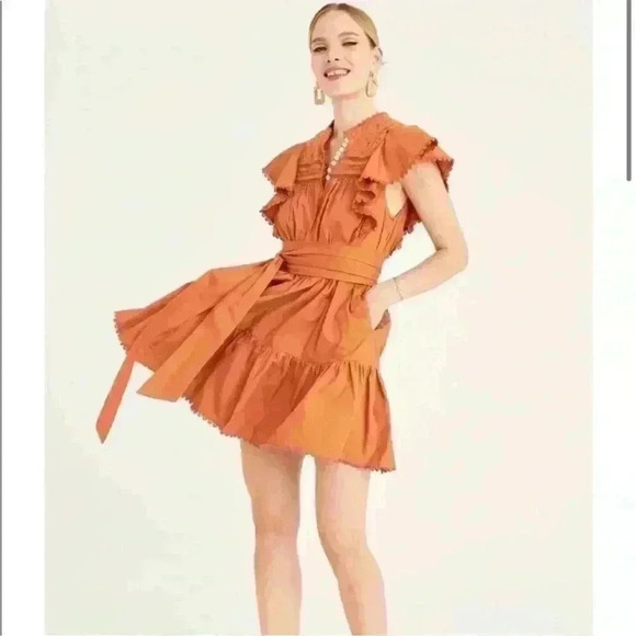 secret mission Dresses & Skirts - Secret mission, Valencia Bartolina dress  small, burnt orange knee length dress